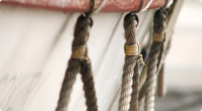 自动攻击网站工具下载